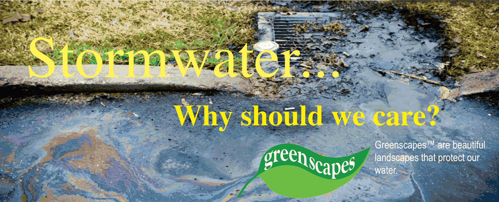 Stormwater - Why should we care?