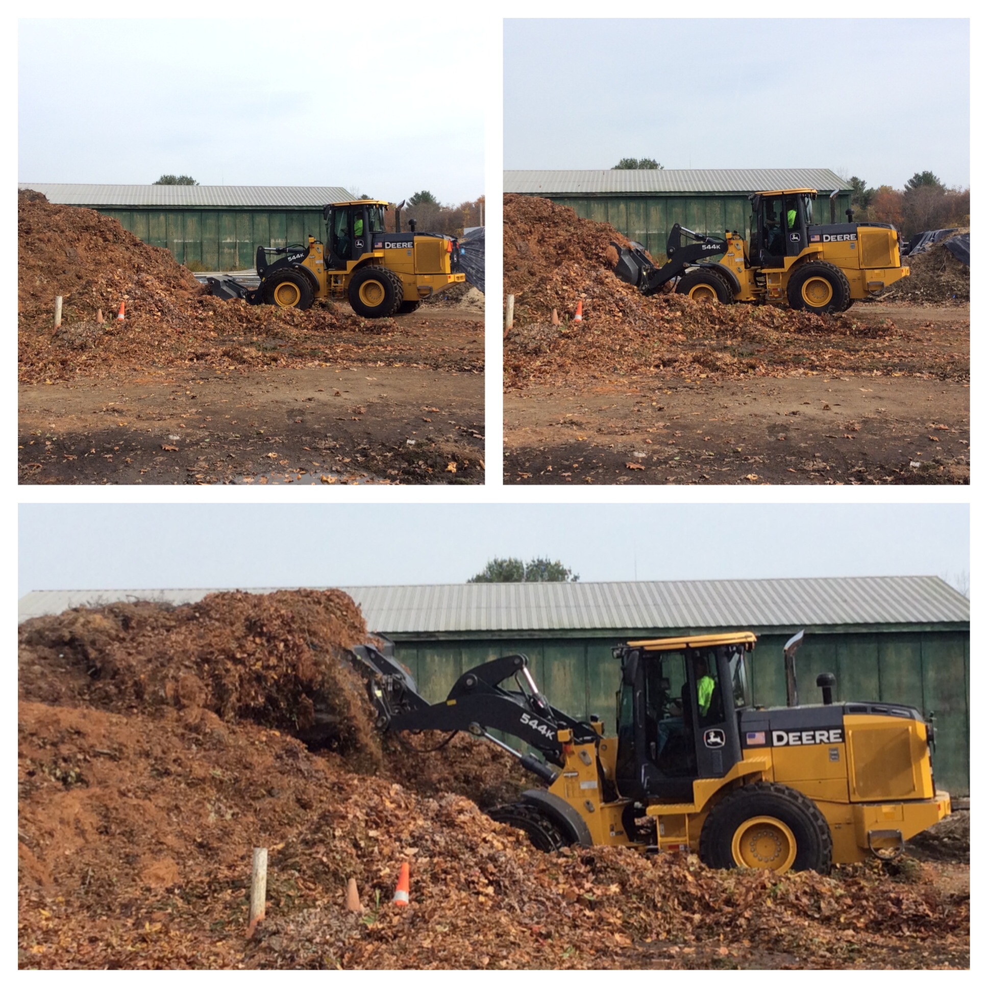 Compost Pile